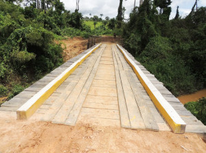 pontes-xapuri