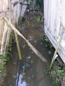 Seis bairros da cidade apresentaram larvas do mosquito da dengue