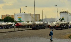 greve_petro-1-300x177