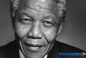 nelson-300x204