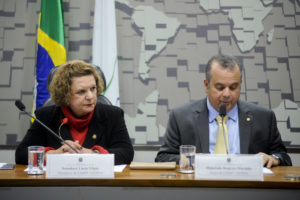 rogerio-marinho-comissao-mista-300x200