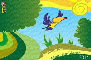 meio ambiente mulher