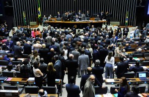 plenario_camara_03_121-300x196
