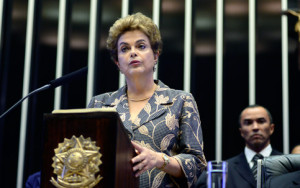 dilma tamanho