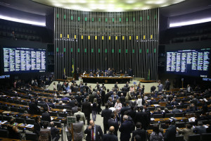 ananda-borges-camara-dos-deputados-01-300x200