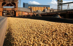 O Paraná está compensando a desaceleração das importações da China com o crescimento de novos mercados de exportação, conforme análise feita pelo Instituto Paranaense de Desenvolvimento Econômico e Social (Ipardes). Nos primeiros oito meses de 2015, mercados como da Arábia Saudita, Índia, México, Irã e Indonésia ganharam espaço entre os principais destinos de produtos paranaenses e já figuram entre os 20 maiores importadores do Estado. Foto: Divulgação