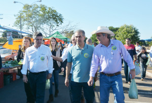 Campanha 2014 PSDB