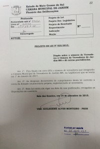 requerimento guilherme
