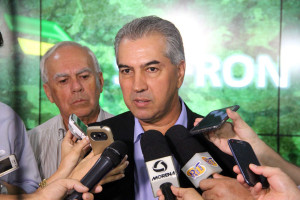 Rei-chicoribeiro