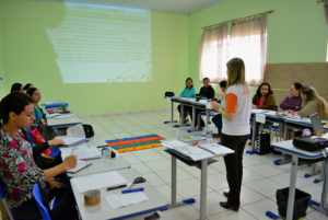 capaciatação professores 17.5