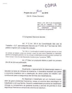 projeto de lei copia
