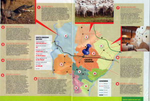 Reportagem lista todas as regiões de Mato Grosso do Sul/ Foto: reprodução/ IstoÉ Dinheiro