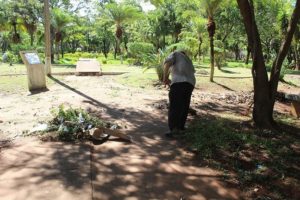 Praça passa por manutenção/ Foto: divulgação