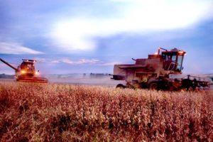 destaque_agricola-300x200