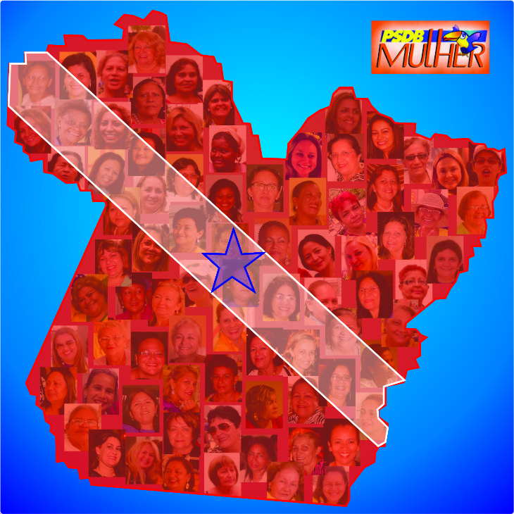 PSDB Mulher PA