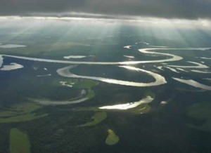Tapajós Floresta