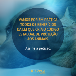 animal