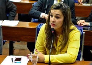 O objetivo do PL é promover ações preventivas de conscientização e esclarecimento, já que a maioria das agressões sofridas por mulheres ocorrem dentro de casa