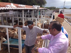 Rogério Marinho em Afonso Bezerra III