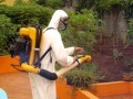 bloqueio_dengue2-300x203