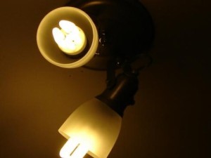 luz