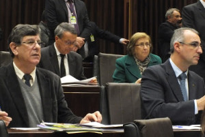 opinião
