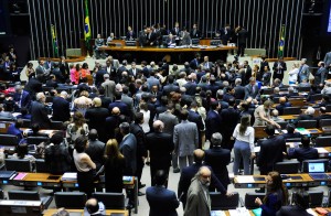plenario_camara_03_121-300x196