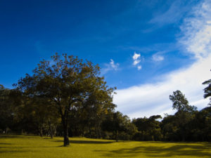 gramado-3-300x225