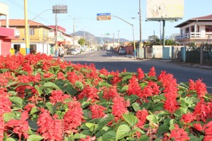 Navegantes-Plantio-Flores-Foto3 Prefeitura Municipal