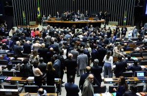 plenario_camara_03_121-300x196