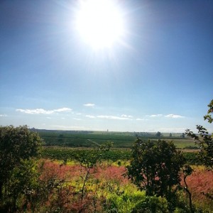 minas gerais