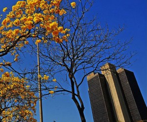 Banco Central Foto George Gianni PSDB