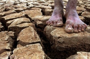 Na pior seca dos últimos 50 anos, nordeste com falta de ação do governo