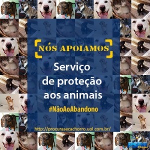 Abandono-de-Animais_10_09_1302