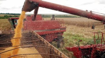 #pracegover: foto mostra máquina agrícola jorrando grãos em caçamba