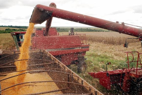 #pracegover: foto mostra máquina agrícola jorrando grãos em caçamba
