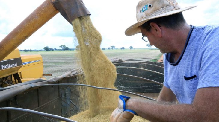 #pracegover: foto mostra soja sendo escoada dentro de caminhão e agricultor em destaque olhando