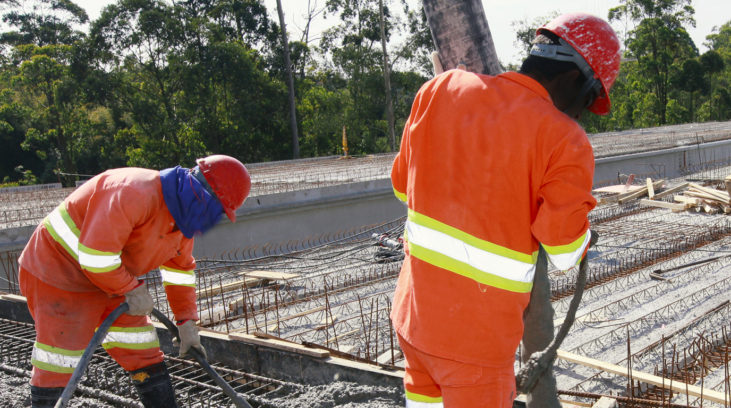 Tucanos parabenizam brasileiros no Dia do Trabalho