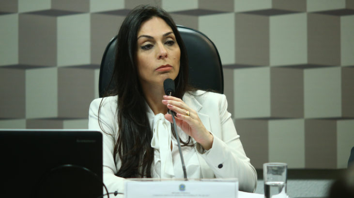 Deputada Geovânia de Sá (PSDB-SC) é presidente da comissão